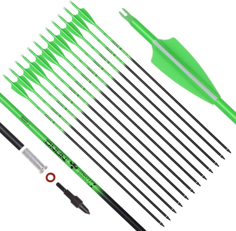TY Archery Carbon Arrow Archery 26 28 30inch Hunting Target Practice Arrows for Compound & Recurve Bow Spine 500 with Removable Tips (Pack of 12) - Image 1